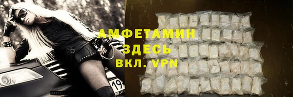 индика Аркадак