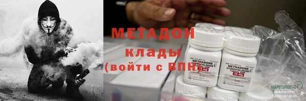 индика Аркадак