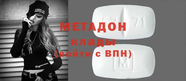 индика Аркадак