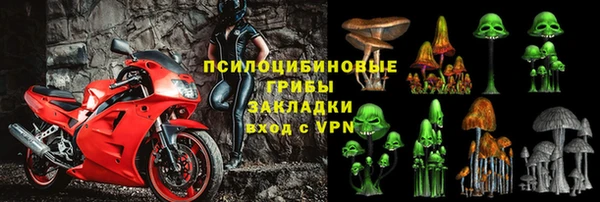 дживик Арсеньев