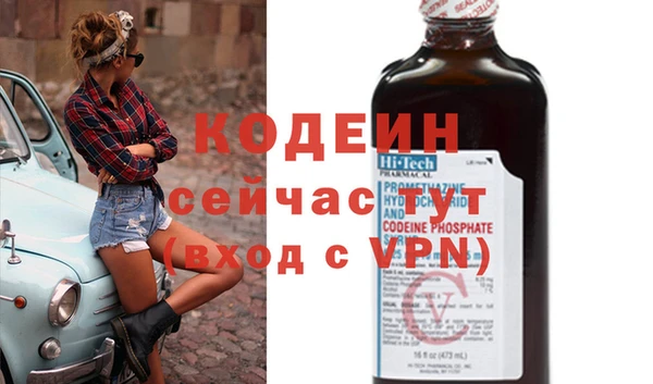 индика Аркадак