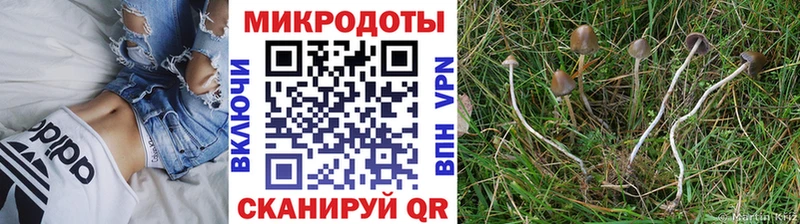 Псилоцибиновые грибы прущие грибы  Купить  Венёв 