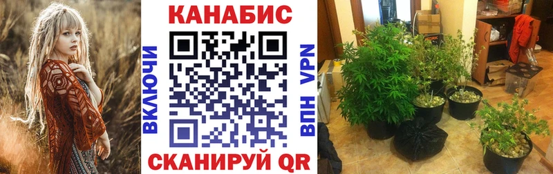 Конопля LSD WEED  Купить закладки  Венёв 